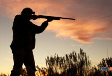 Hunting Quotes Ideas and Suggestions