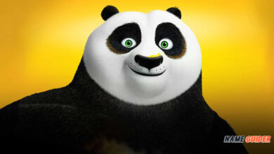 Panda Names Ideas and Suggestions