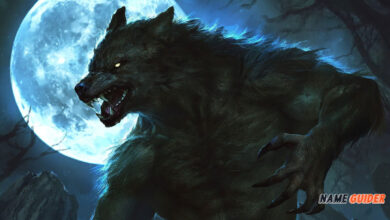 Werewolf Usernames Ideas and Suggestions