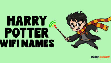 Harry Potter Wifi Names Ideas and Suggestions