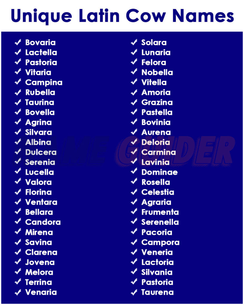 Unique Latin Cow Names