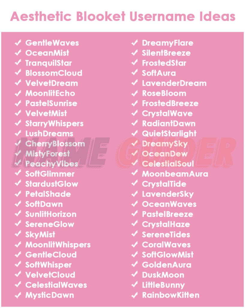 Aesthetic Blooket Username Ideas