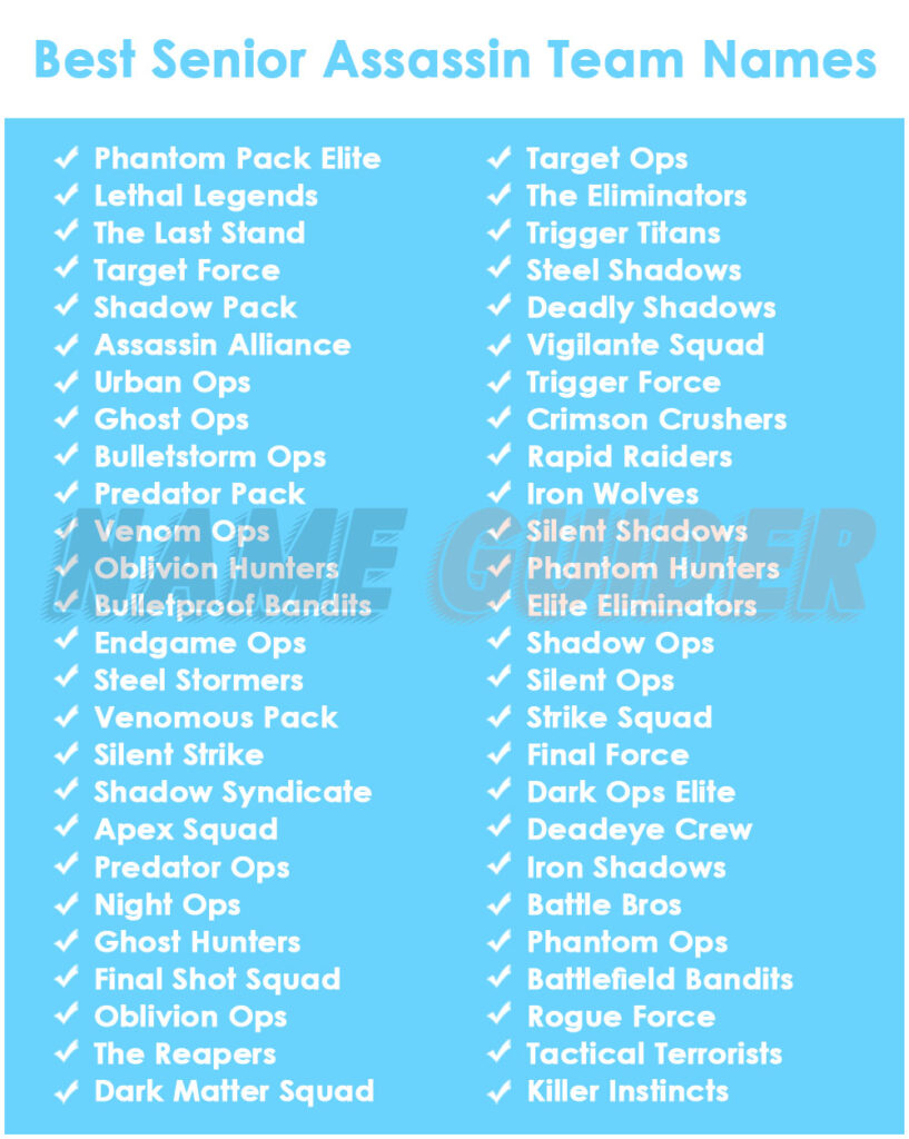Best Senior Assassin Team Names