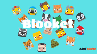 Blooket Username Ideas and Suggestions