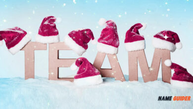 Christmas Team Names Ideas and Suggestions