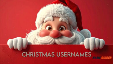 Christmas Usernames Ideas and Suggestions