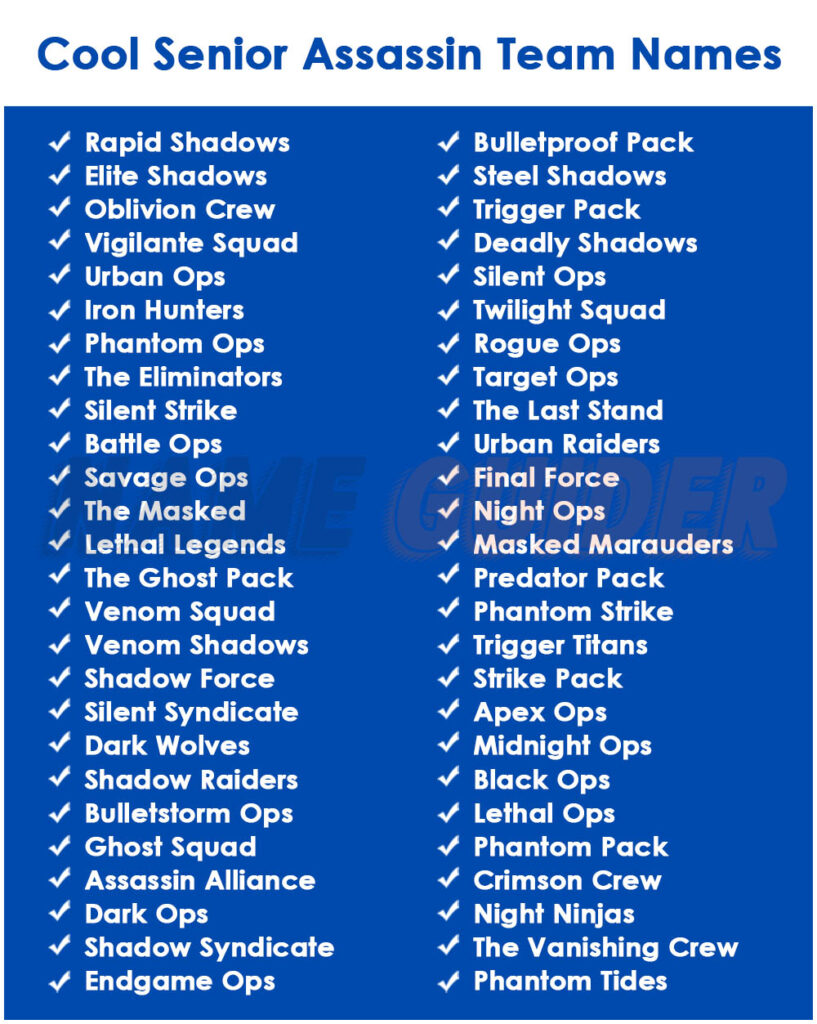 Cool Senior Assassin Team Names