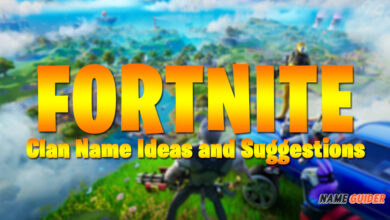 Fortnite Clan Name Ideas and Suggestions