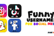 Funny Usernames For Social Media