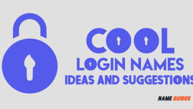 Cool Login Names Ideas and Suggestions