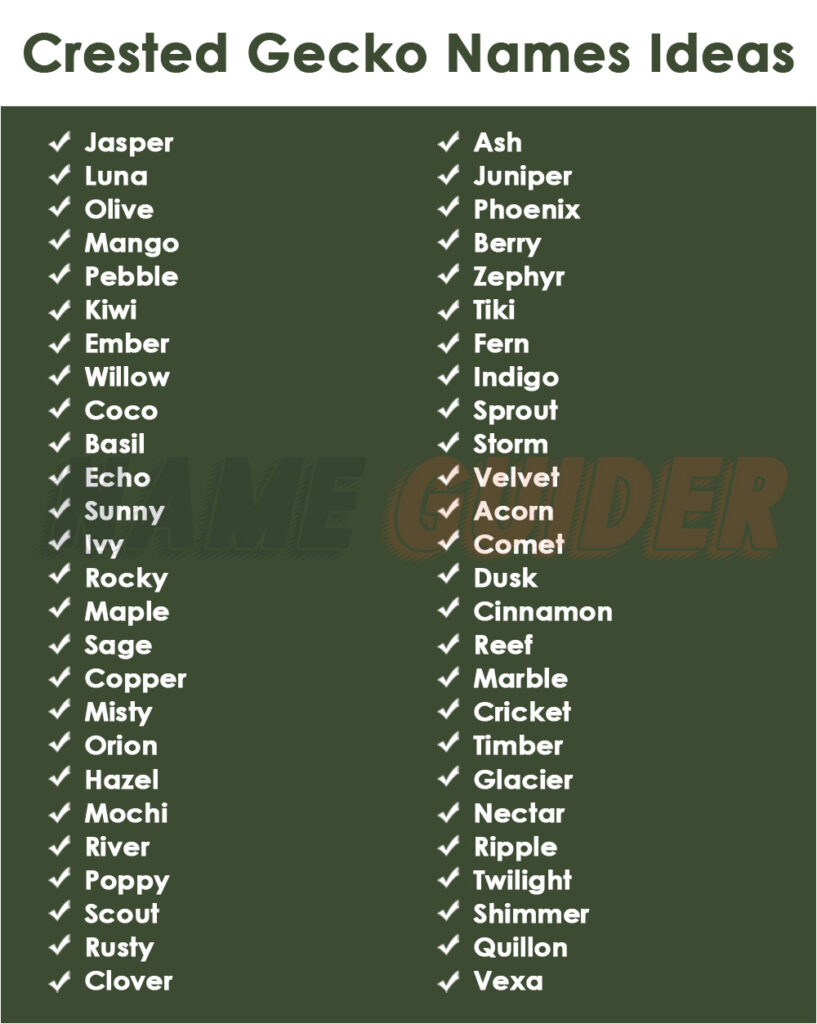 Crested Gecko Names Ideas