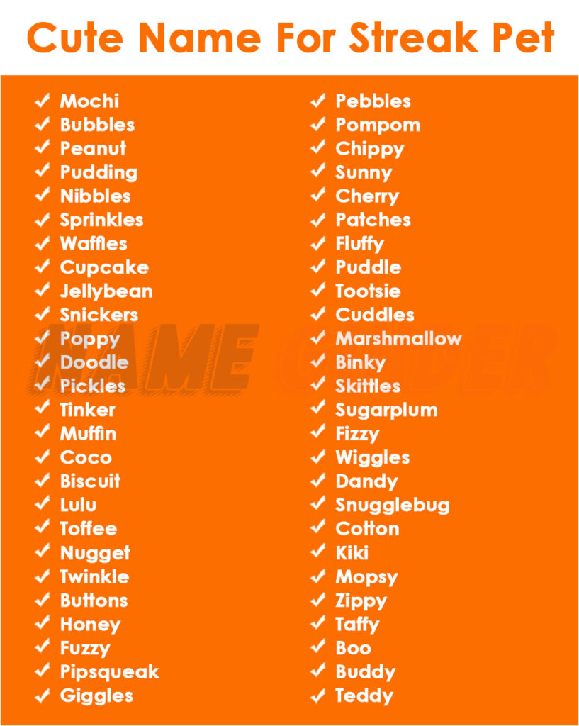 Cute Names For Streak Pet