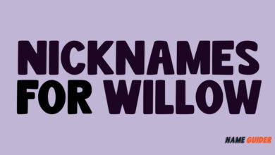 Nicknames For Willow