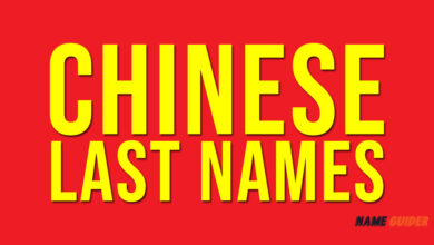 Chinese Last Names