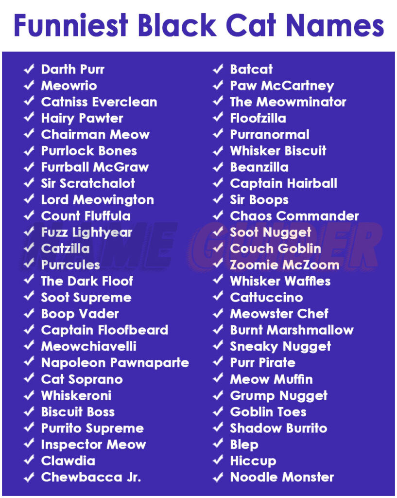 Funniest Black Cat Names