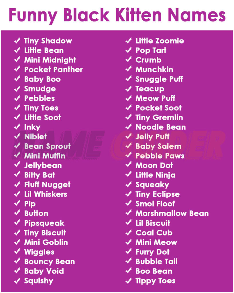 Funny Black Kitten Names
