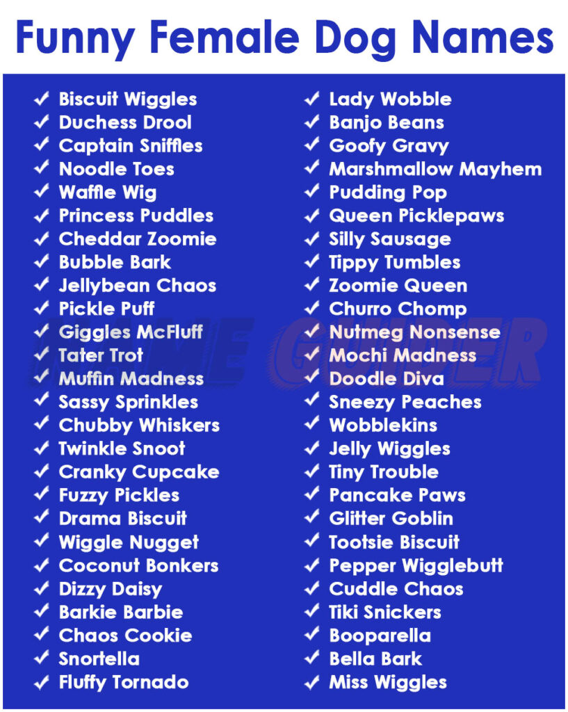 Funny Female Dog Name