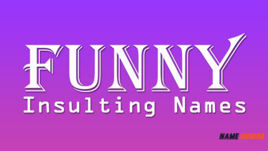 Funny Insulting Names