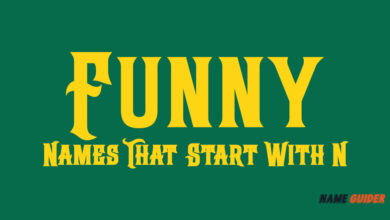 Funny Names That Start With N