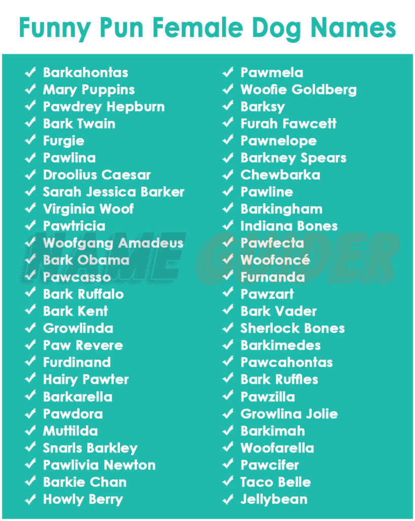 Funny Pun Female Dog Names