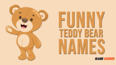 Funny Teddy Bear Names