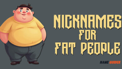 Nicknames For Fat People