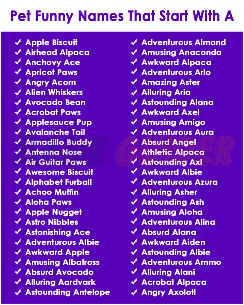 Pet Funny Names That Start With A