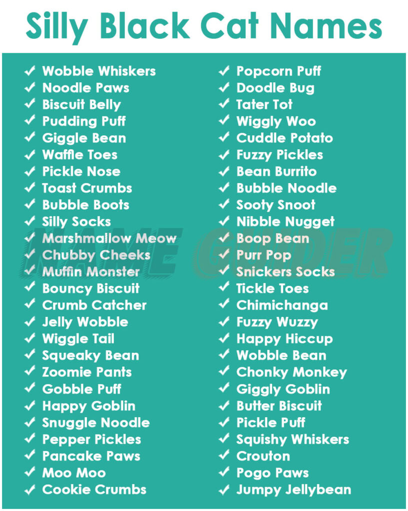 Silly Black Cat Names