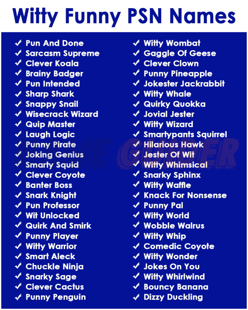 Witty Funny PSN Names