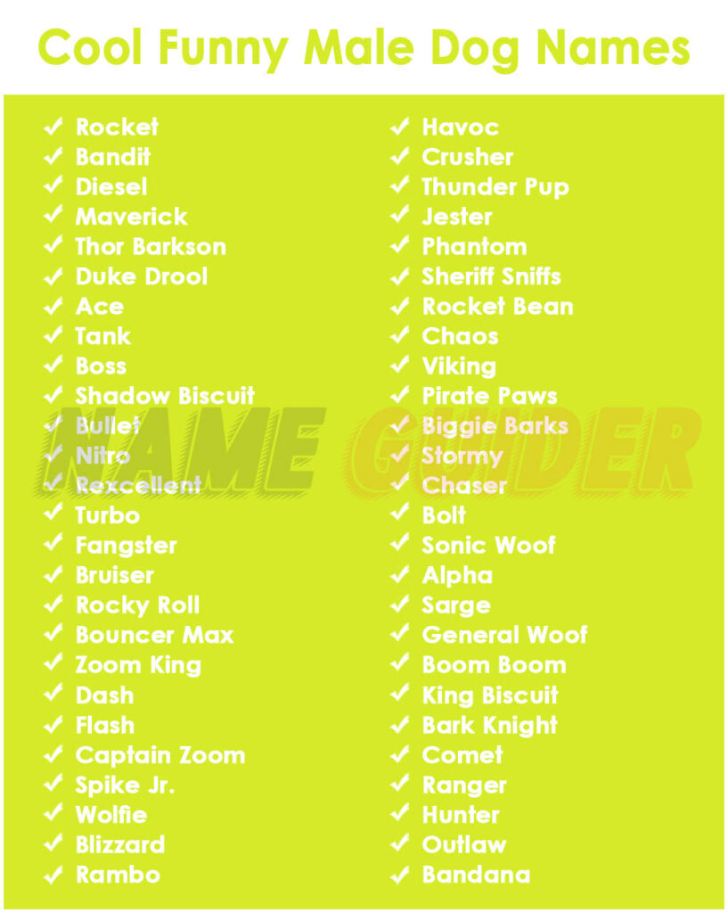 Cool Funny Male Dog Names