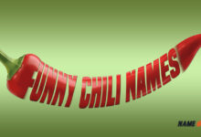 Funny Chili Names Ideas and Suggestions