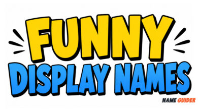 Funny Display Names Ideas and Suggestions