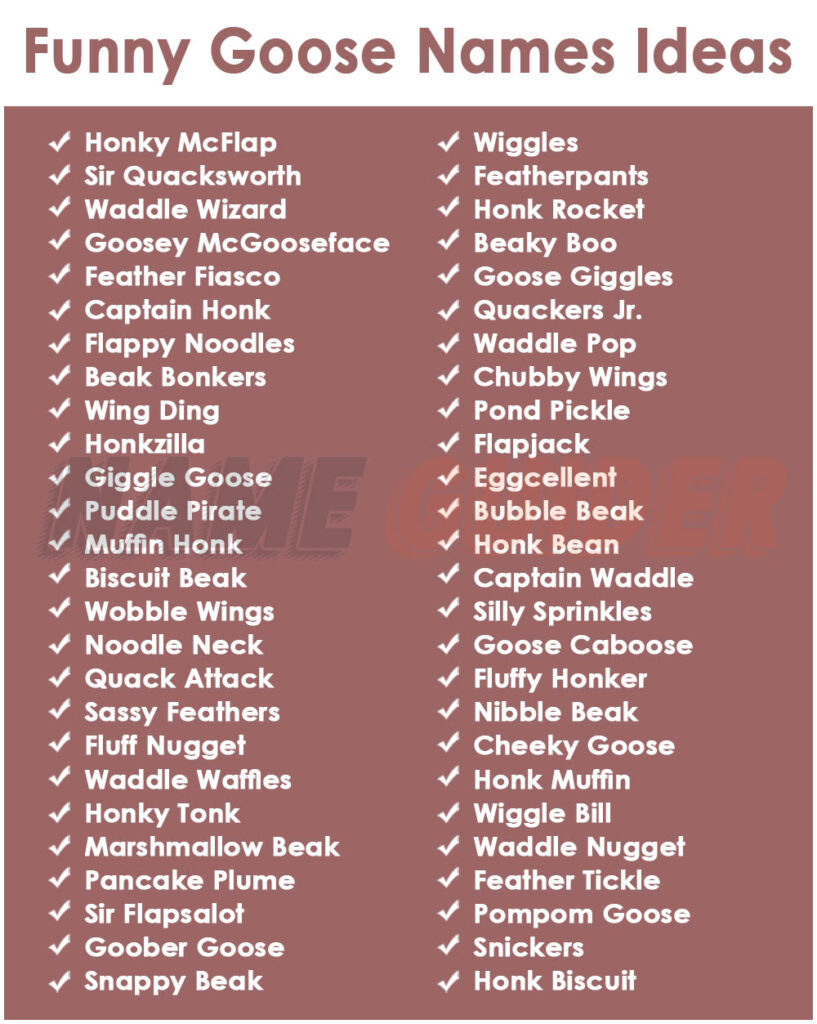 Funny Goose Names Ideas