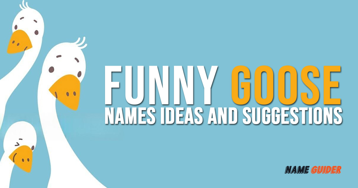 Funny Goose Names Ideas and Suggestions