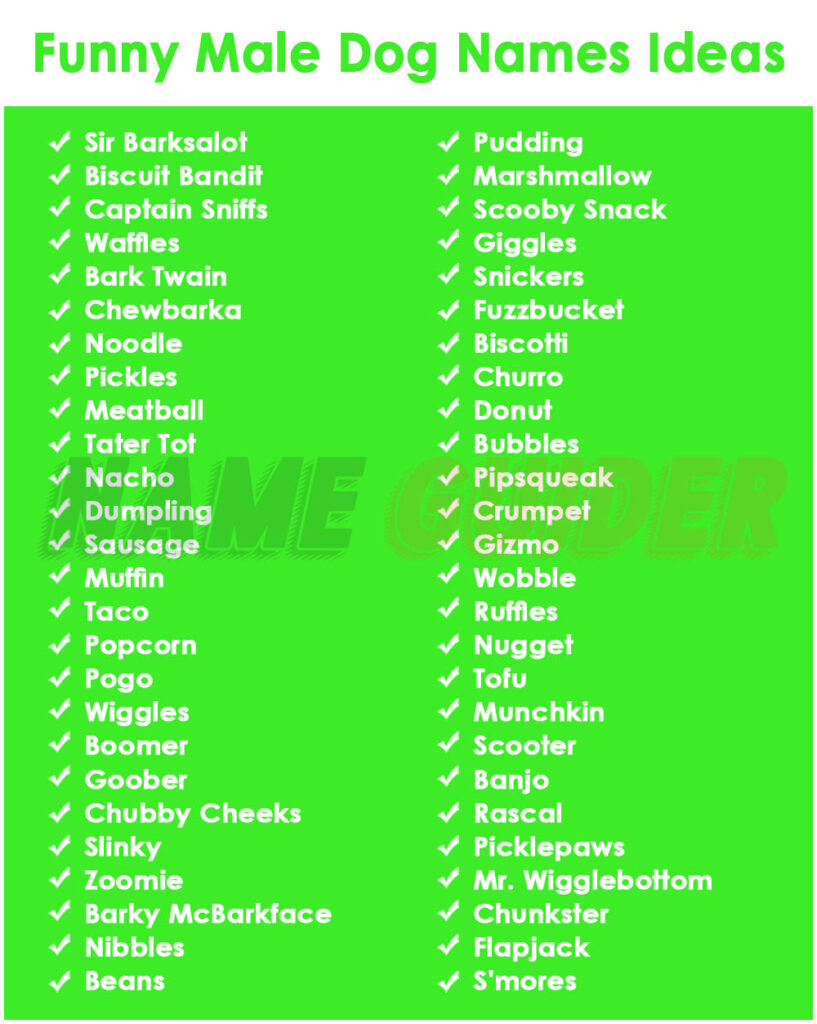 Funny Male Dog Names Ideas