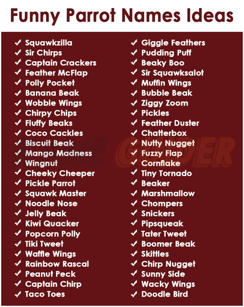Funny Parrot Names Ideas