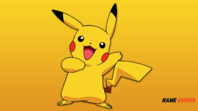 Funny Pokemon Names Ideas and Suggestions