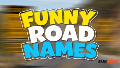 Funny Road Names