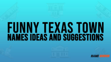 Funny Texas Town Names Ideas and Suggestions