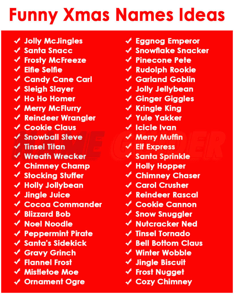Funny Xmas Names Ideas