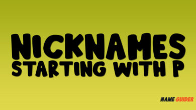 Nicknames Starting With P
