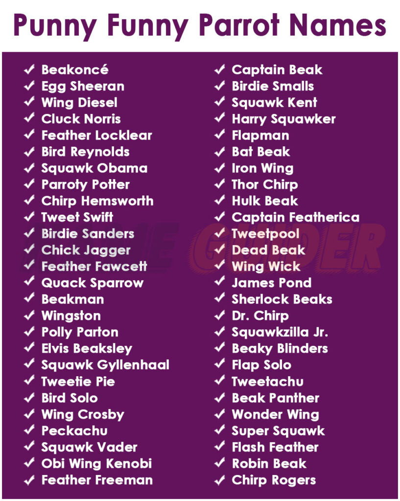 Punny Funny Parrot Names