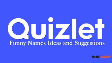 Quizlet Funny Names Ideas and Suggestions