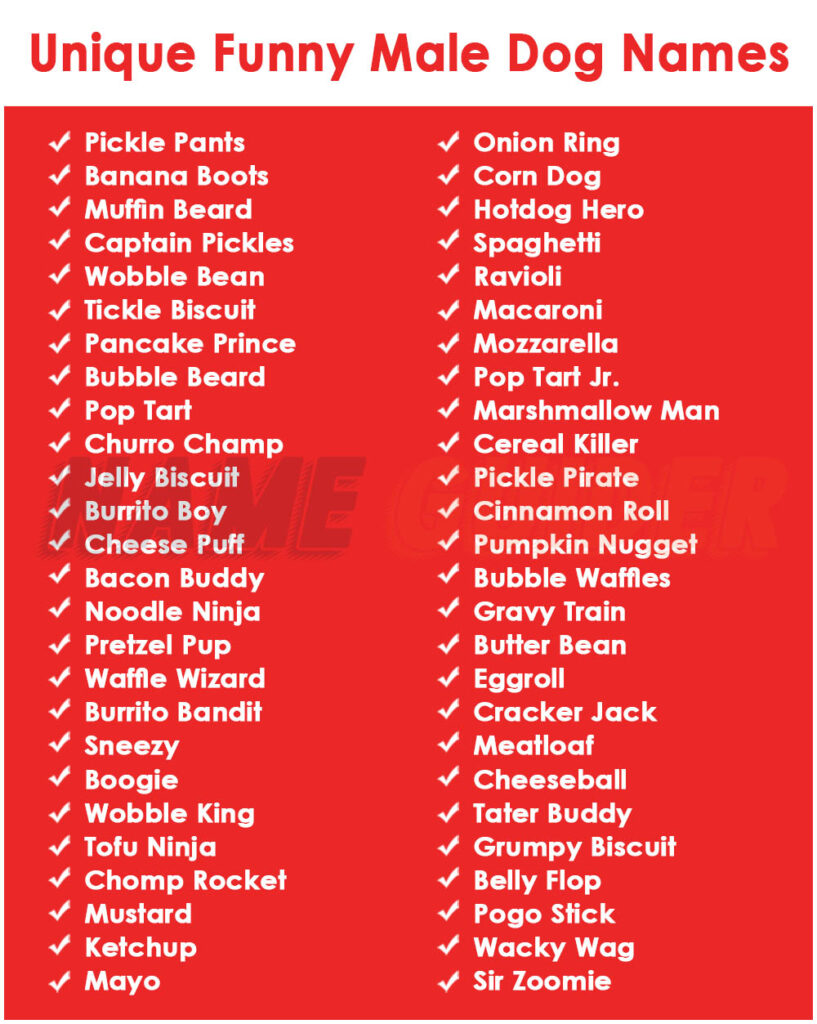 Unique Funny Male Dog Names