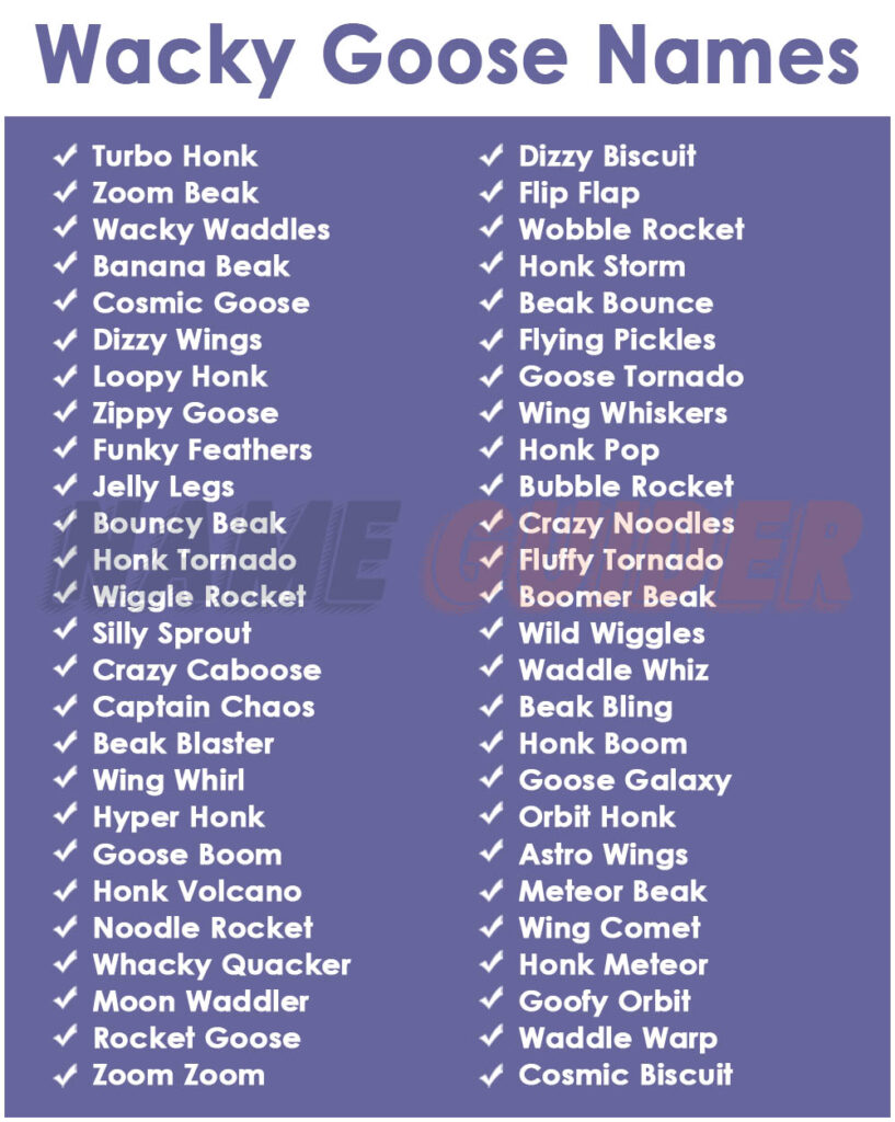 Wacky Goose Names