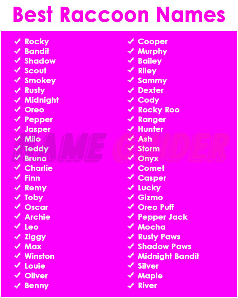 Best Raccoon Names