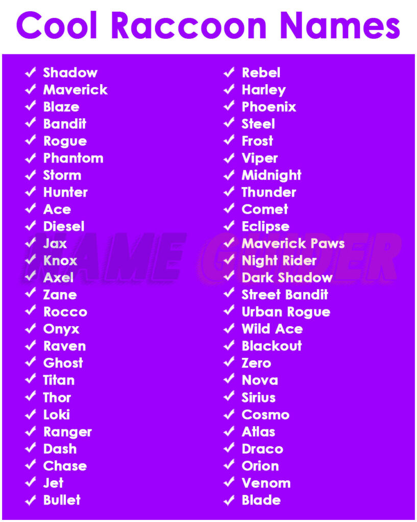 Cool Raccoon Names