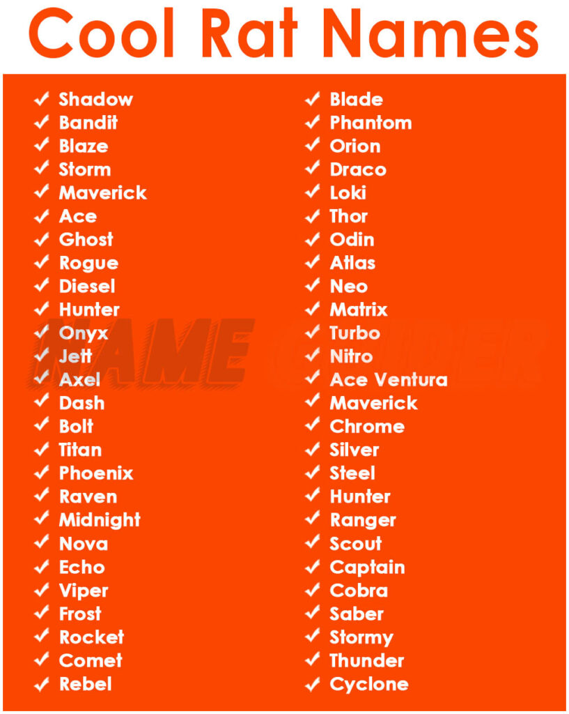 Cool Rat Names