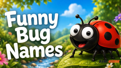 Funny Bug Names
