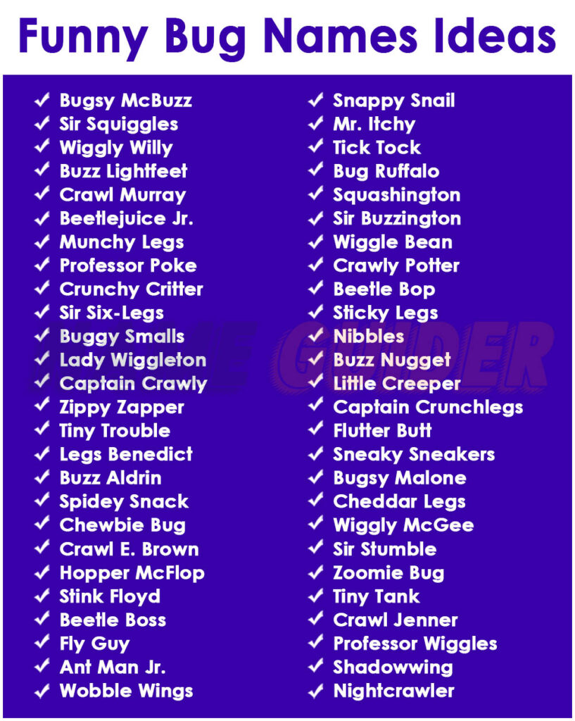 Funny Bug Names Ideas